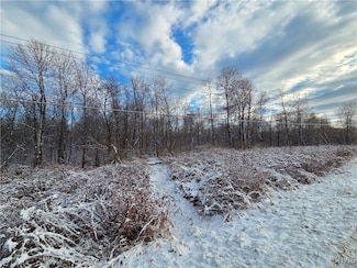 0 Co Rte 42 Unit S1650459, Wilna, NY 13619