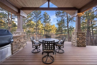 646 Ruby Trust Dr, Castle Rock, CO 80108