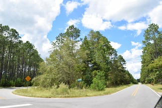 12 Woodlakes Dr, Eastman, GA 31023