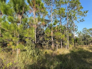 0 River Ranch Blvd Unit MFRO6363436, Lake Wales, FL 33898