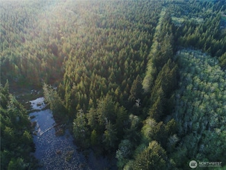 0 Ocean Beach Rd Unit NWM2375749, Copalis Crossing, WA 98536