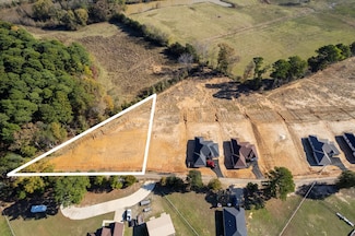 Lot 1 County Road 4323, Pittsburg, TX 75686