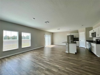 34436 Moonflower Ave, Wesley Chapel, FL 33545