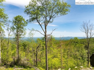 ES76 Lands End Trail, Banner Elk, NC 28604