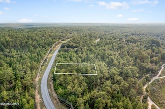 XXX Shenandoah Blvd, Chipley, FL 32428