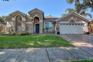 12804 Pacifica Place, Tampa, FL 33625