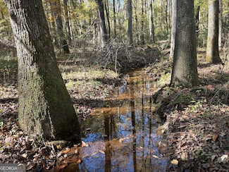 0 Bolton Rd, Zebulon, GA 30295