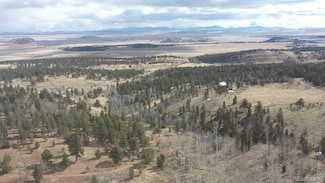 161 Kaufman Rd Unit 1, Hartsel, CO 80449