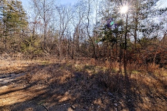 Lot 4 Sandstone Rd, Merriam Woods, MO 65740