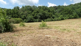 5.6ac Lonnie Reese Rd, Celina, TN 38551