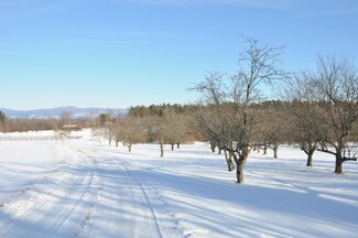 TBD N Bingham St, Cornwall, VT 05753