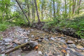 8XX Nancy Creek Rd, Kettle Falls, WA 99141