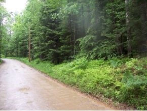 0 Burke Rd, Gilmanton, NH 03237