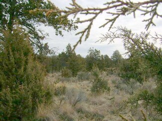 10 SE Gatling Way, Prineville, OR 97754