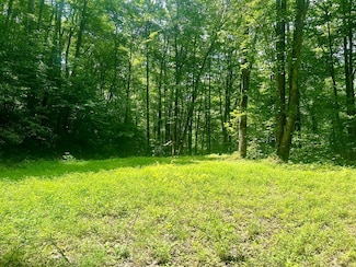 Lot 22 Long Creek Preserve, Bryson City, NC 28713