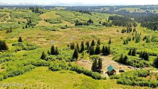 61245 Ohlson Mountain Rd, Homer, AK 99603