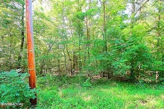 175 Pineridge Loop, Crossville, TN 38558