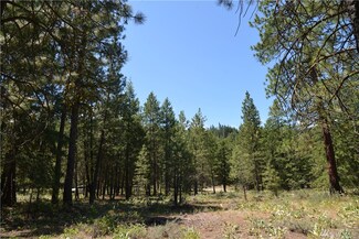 2 Goshawk Ln, Winthrop, WA 98862
