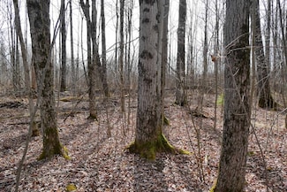 4.70 Acres Us Highway 8, Prentice, WI 54556