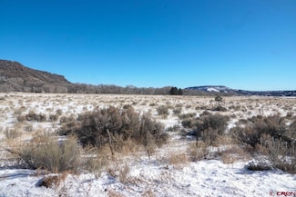 TBD Conejos Canyon Rd, Antonito, CO 81120