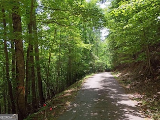 Lot 30 Hidden Summit Rd, Hiawassee, GA 30546