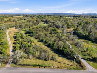 8919 Carlton Rd, Christiana, TN 37037