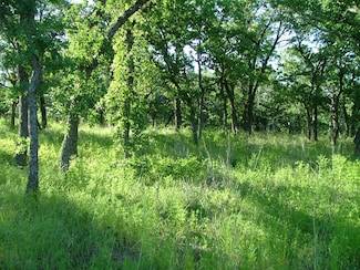 Lot 263 Ridgeline Dr, Chico, TX 76431