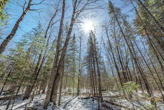 56.97 ac Hwy 77, Upson, WI 54565