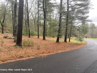 TBD Diane Dr, Ellenville, NY 12428