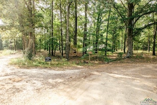 320 Walnut, Ore City, TX 75683