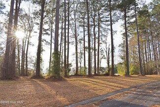 179 Corrolla Loop, Oriental, NC 28571