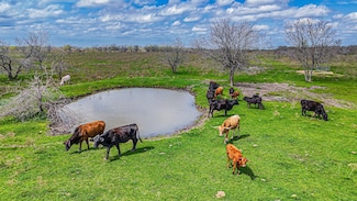 4814 Farm To Market Road 639, Frost, TX 76641