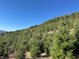 Switchback Rd, Gold Beach, OR 97444
