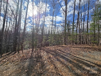 Lot 31 Acorn Ln, Lake Lure, NC 28746
