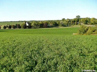 Lot 9 Neale Rd, Caledonia, NY 14423