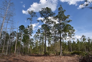 0 Sun Garden Rd Unit LotWP001 23058642, Palatka, FL 32177