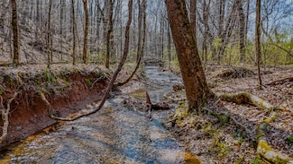 0 Halls Valley Rd NW Unit 25650602, Rome, GA 30165