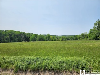 0 County Road 13 Unit R1614914, Ripley, NY 14775