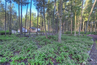 67 Frances Ln, Lopez Island, WA 98261