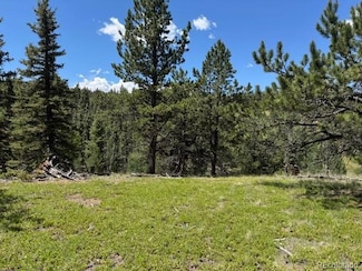 209 Kenosha Cir, Divide, CO 80814