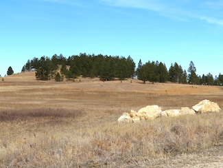 Lot 10 Lonesome Dove St, Custer, SD 57730