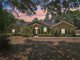 6686 SE 135th St, Summerfield, FL 34491