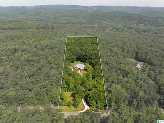 8881 Pine Mountain Rd, Pinson, AL 35126