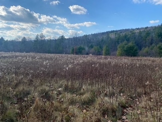 0 E Alford Rd, West Stockbridge, MA 01266