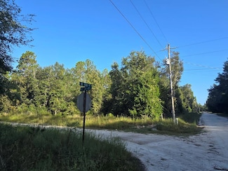 TBD NE 528th Ave, Old Town, FL 32680