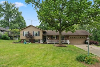 10939 Julie St NE, Alliance, OH 44601