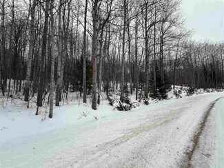 0 Flagg Rd, East Jordan, MI 49727