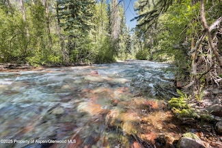 645 Sneaky Ln, Aspen, CO 81611