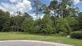 542 Golden Rod Ct, Blythewood, SC 29016
