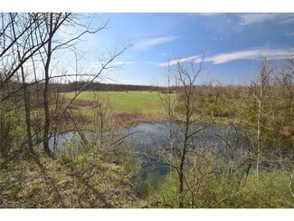 0 Bailey Long Rd Unit 3896736, Bethesda, OH 43719